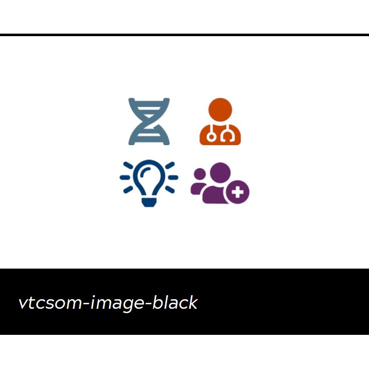 VTCSOM website customizations