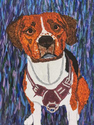 brown and white dog on a purple background