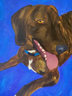 brown dog on a blue background