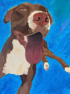 brown and white dog on a blue background