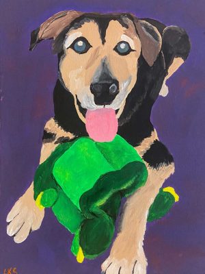 brown and black dog with a green toy on a purple background