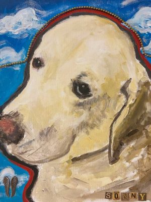 closeup of a dog on a blue background with clouds