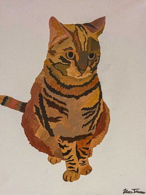 orange cat on a brown background