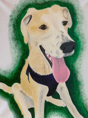dog on a green and white background