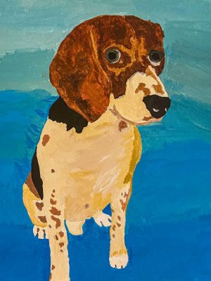 Toledo Humane Society - NEW: Animal Art Drawing Class for kids ages 8 to 12  years old! Come and enjoy learning how to draw animals! An art instructor  will teach you the
