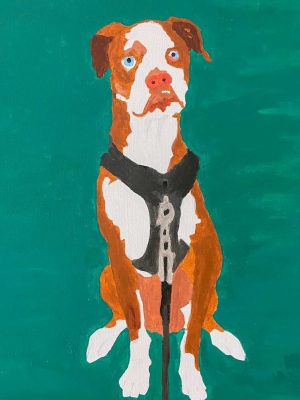 brown and white dog on a green background