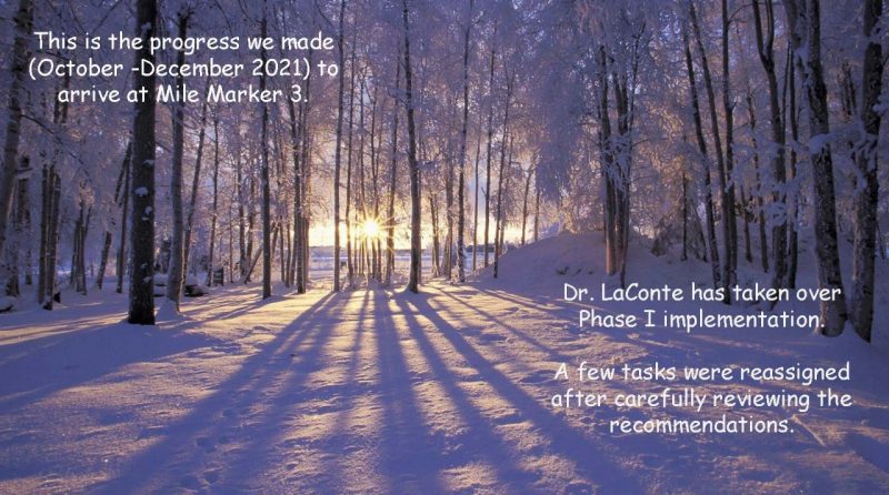 This is the progress we made (October -December 2021) to arrive at Mile Marker 3. Dr. LaConte has taken over Phase I implementation, and a few tasks were reassigned after carefully reviewing the recommendations. Background shows a snow-covered path in a snow-covered forest.