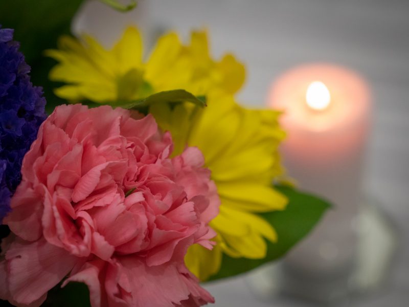 closeup of a pink and yellow flower with a lit candle blurred in the background