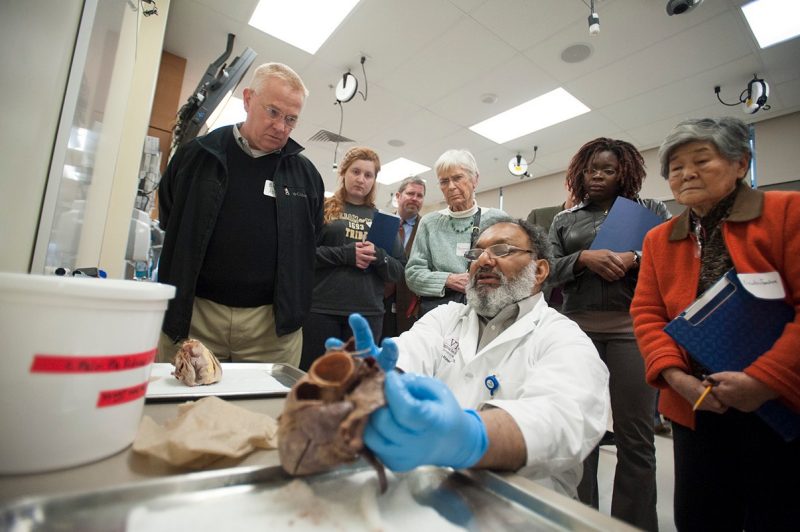 Faculty member Dr. Saleem Ahmed discusses the human heart with students in the wet anatomy lab.
