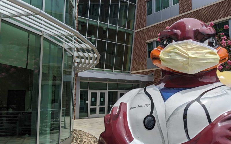 Masked hokie bird in front of the VTCSOM entrance