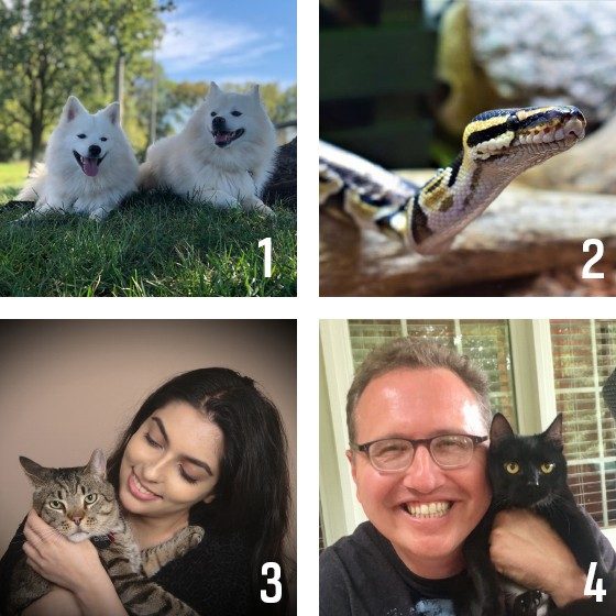 Four images of animals, described below