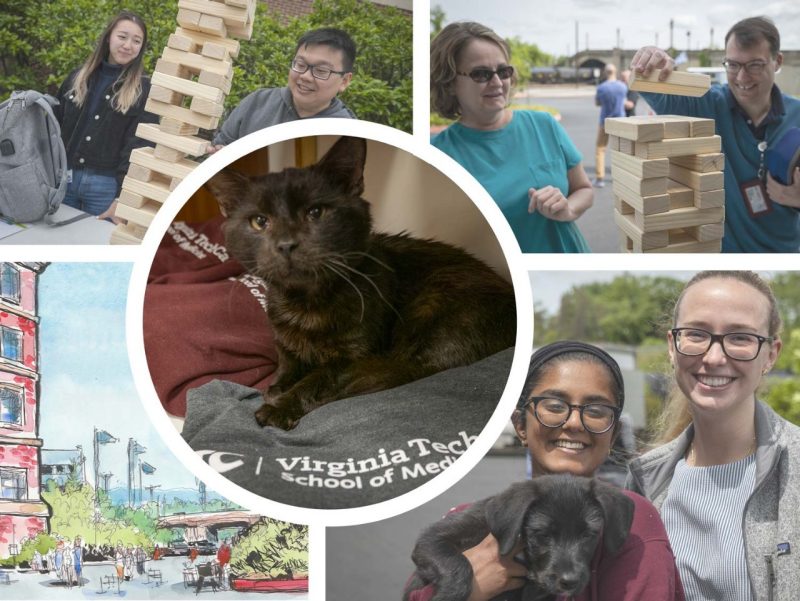 collage of five photos including a kitten on t-shirts, two photos of people playing jenga, a doodle, and two people with a puppy