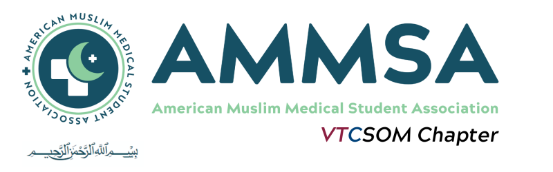 AMMSA Logo