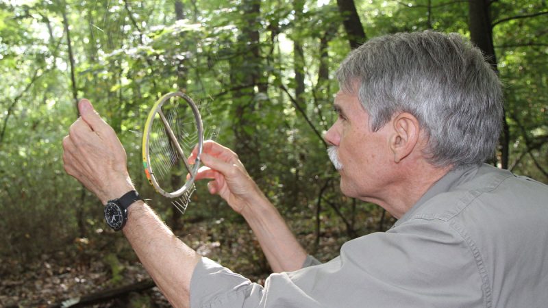 Dr. Brent Opell collects a spider web